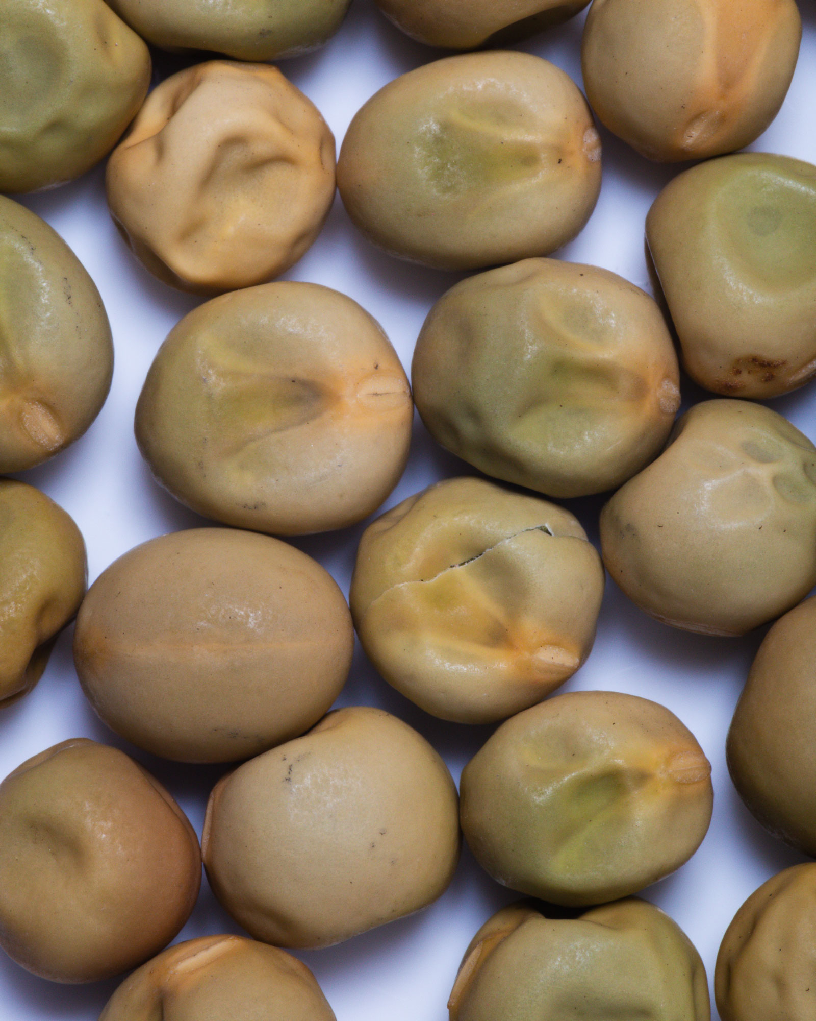 dried peas close up, one pea with a crack