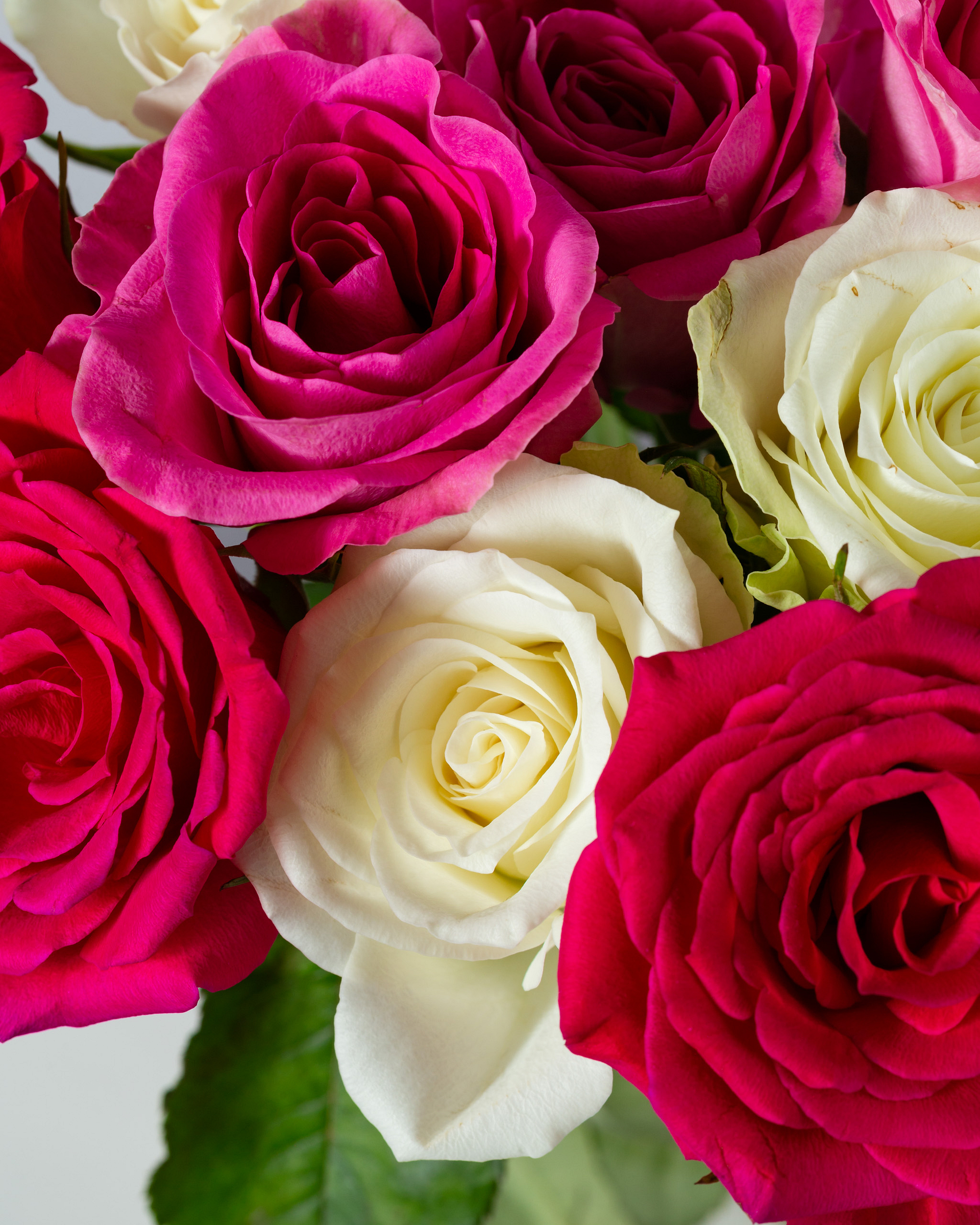 Close-up photograph of red, pink, and white roses.