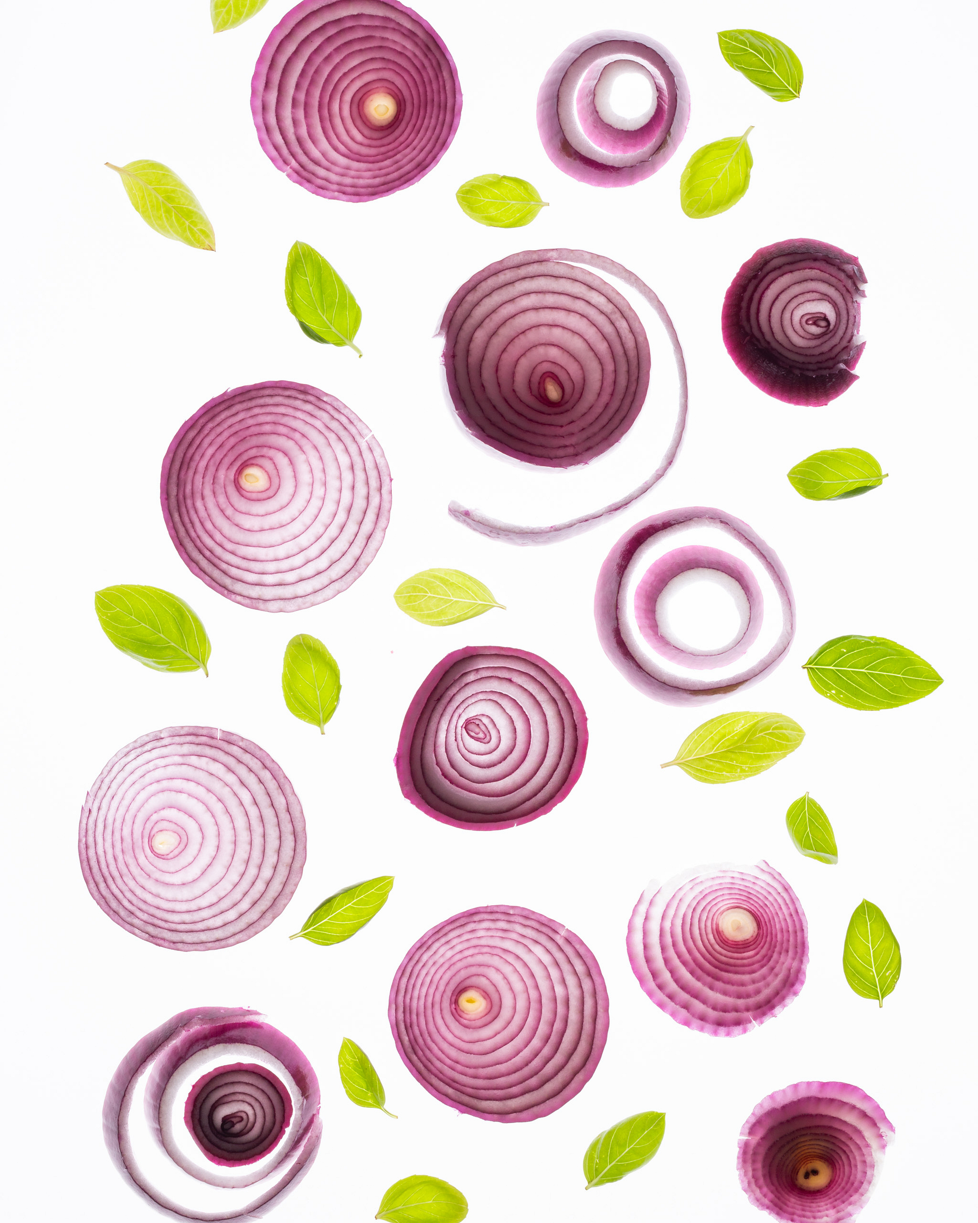 Onion slices and basil on a bright background.