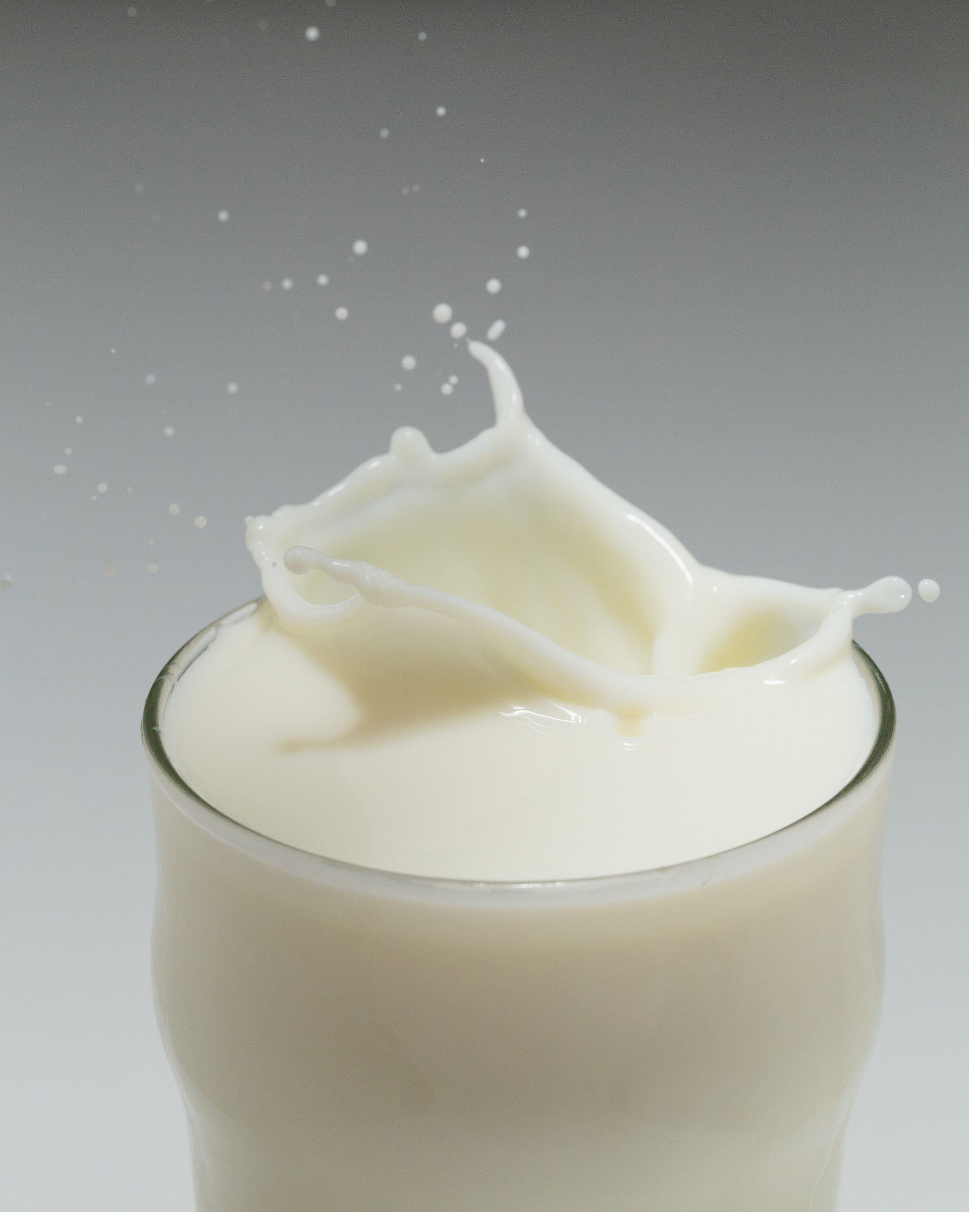 Milk splash in a pint glass against a gray background.